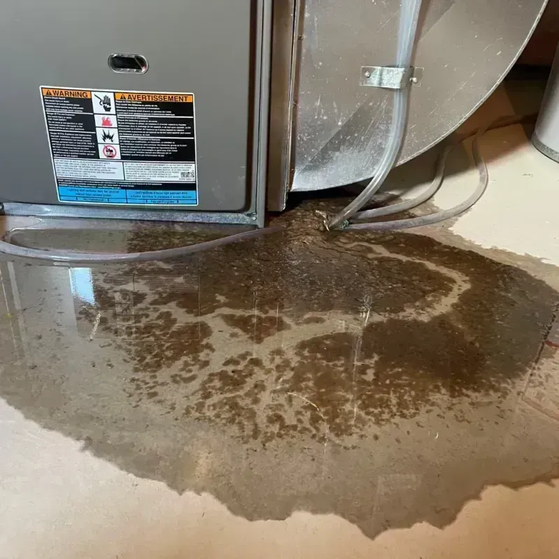 Appliance Leak Cleanup in Fayette County, TX